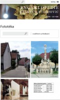 Responzivní web design
