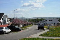 Suburbánní kaše a nová hesla pro encyklopedii